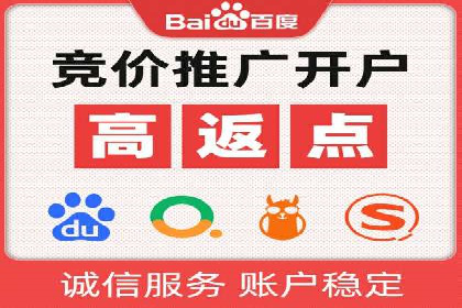 SEM网络推广案例：精准营销助力品牌成长
